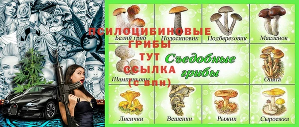 jwh Каменногорск