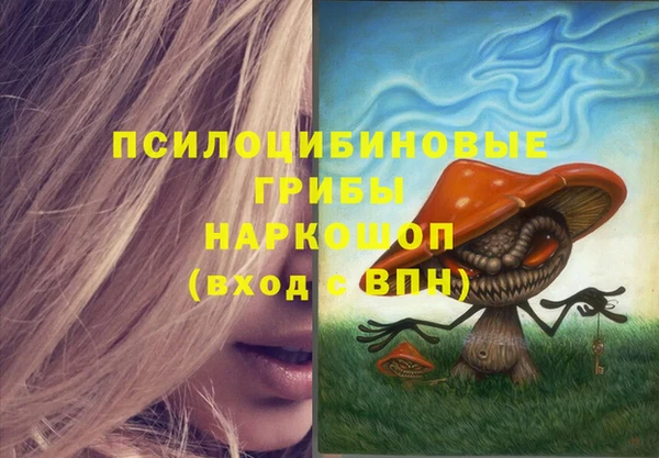 прущая мука Каменка