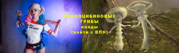 спайс Корсаков