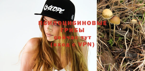 прущая мука Каменка