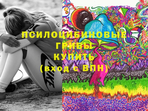 бошки Зеленодольск