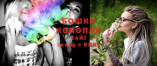 прущий лед Инсар