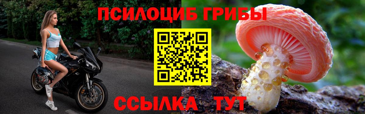 Галлюциногенные грибы ЛСД Минеральные Воды