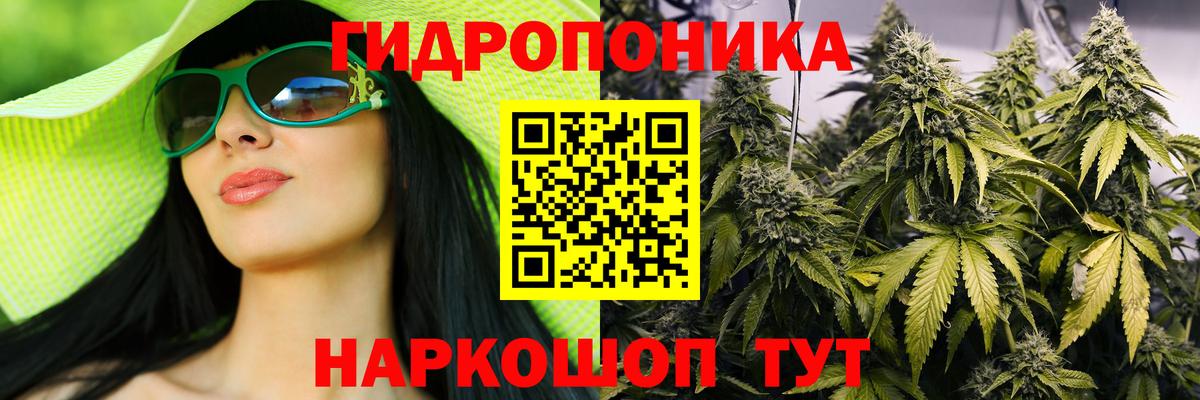 Канабис сатива Минеральные Воды